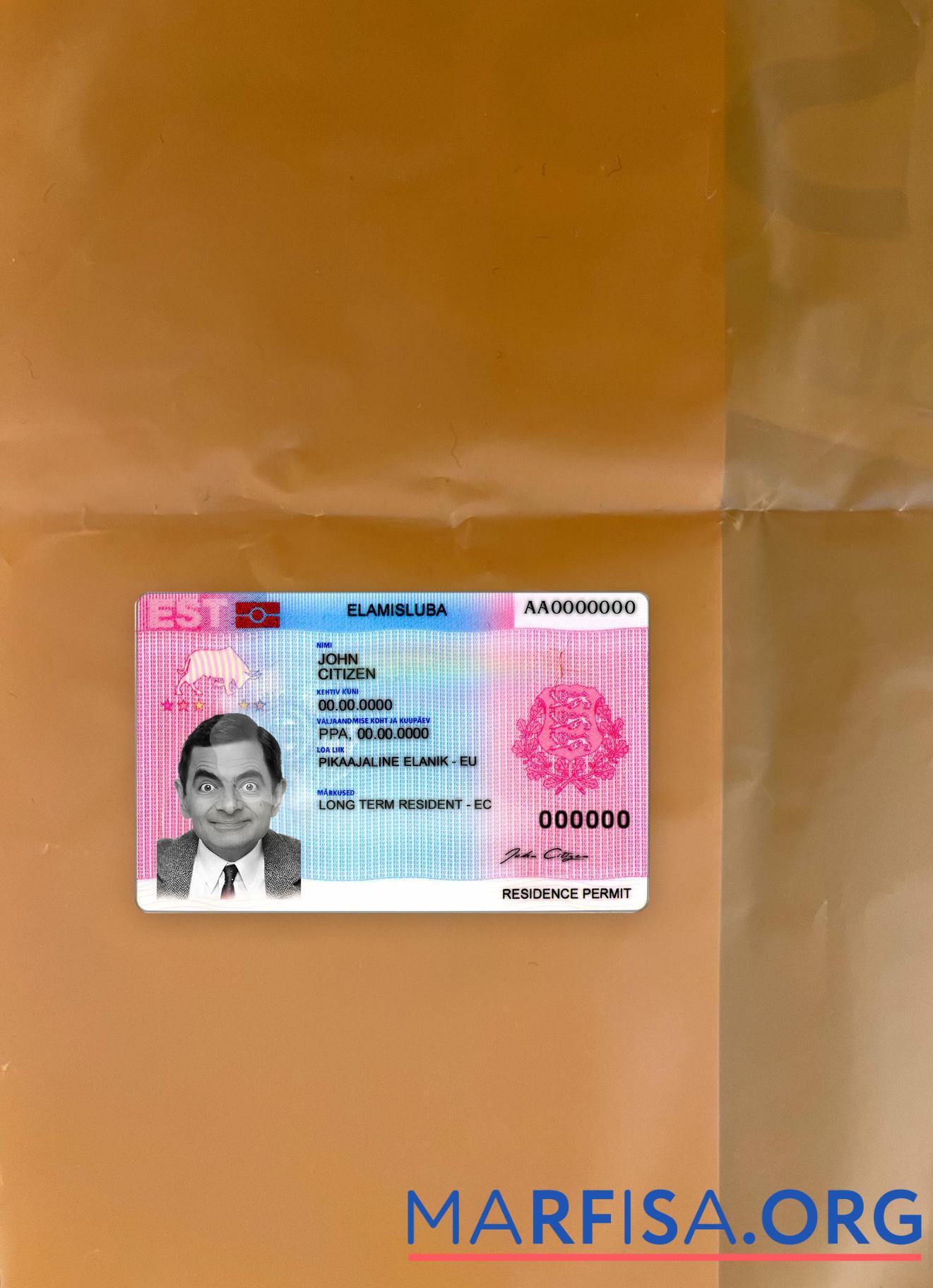 Realistic Estonia residence permit photolook front example